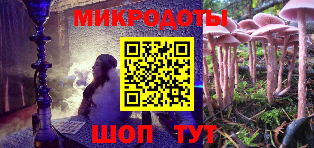 Новоалександровск  Псилоцибиновые грибы мицелий  Вход с VPN  Псилоцибиновые грибы Psilocybine cubensis 